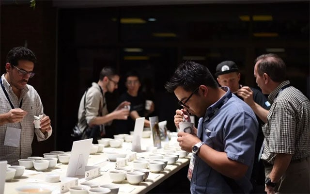 Vietnam conquista el Campeonato Mundial de Cata de Café